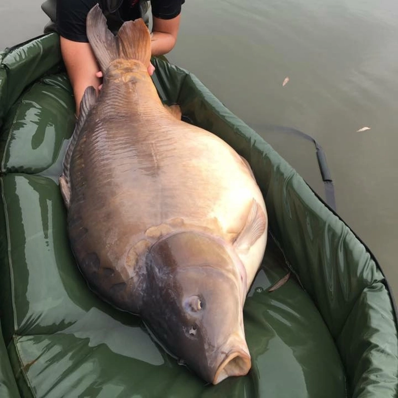 Fox Deluxe Carpmaster Mats